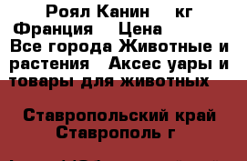  Роял Канин 20 кг Франция! › Цена ­ 3 520 - Все города Животные и растения » Аксесcуары и товары для животных   . Ставропольский край,Ставрополь г.